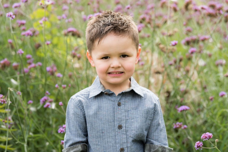 denver family photos mini session