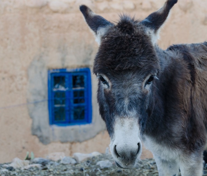 Morocco - Berrem Village of Midelt