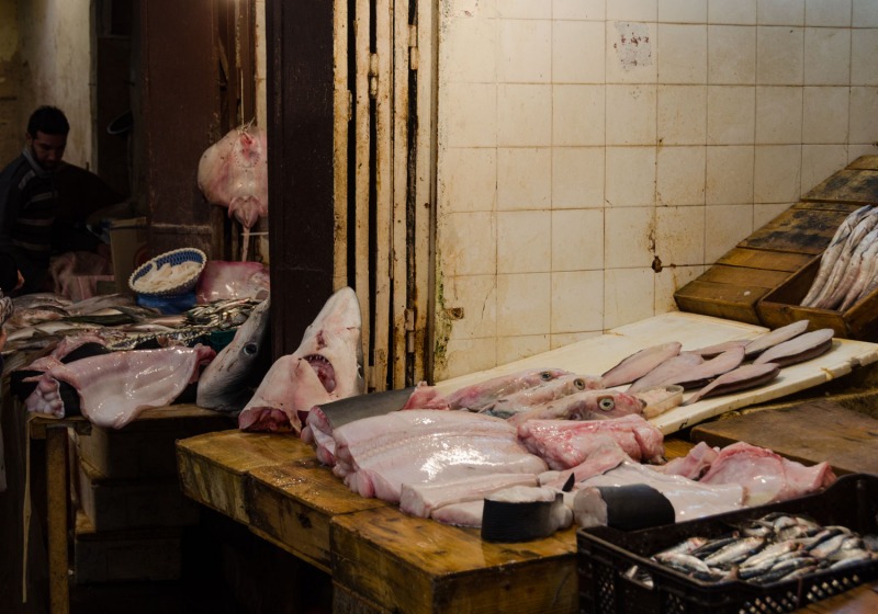 Morocco - Fez medina